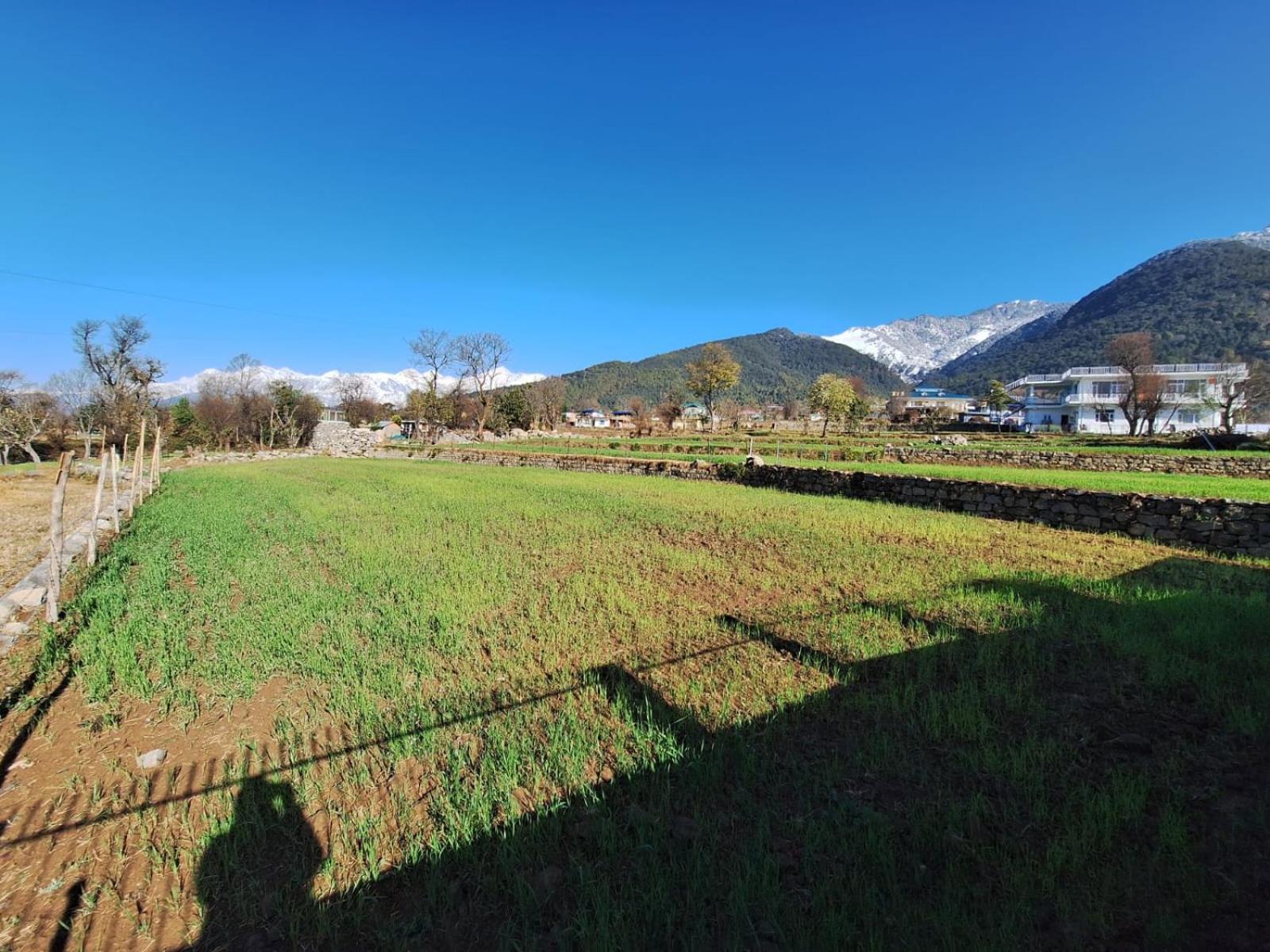 La Maison - A Boutique Bed And Breakfast Bīr 外观 照片
