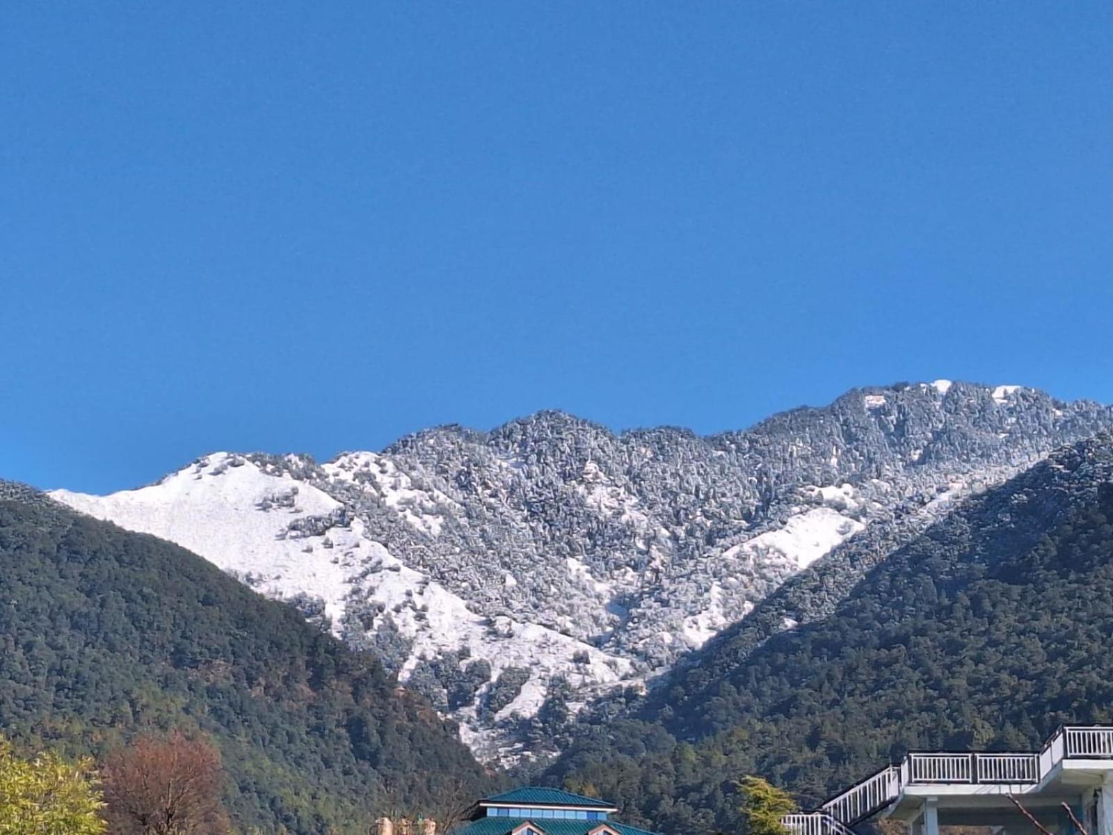 La Maison - A Boutique Bed And Breakfast Bīr 外观 照片
